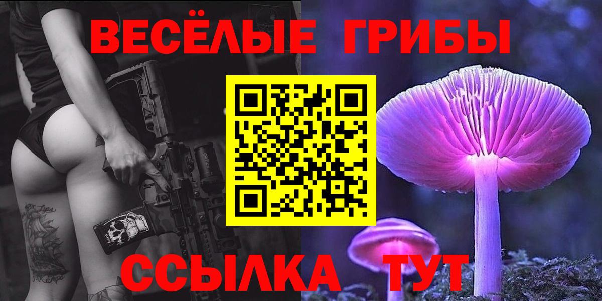 Псилоцибиновые грибы Psilocybe Ейск