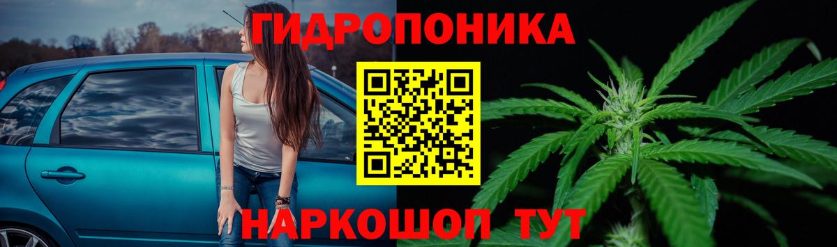 Конопля Bruce Banner Ейск